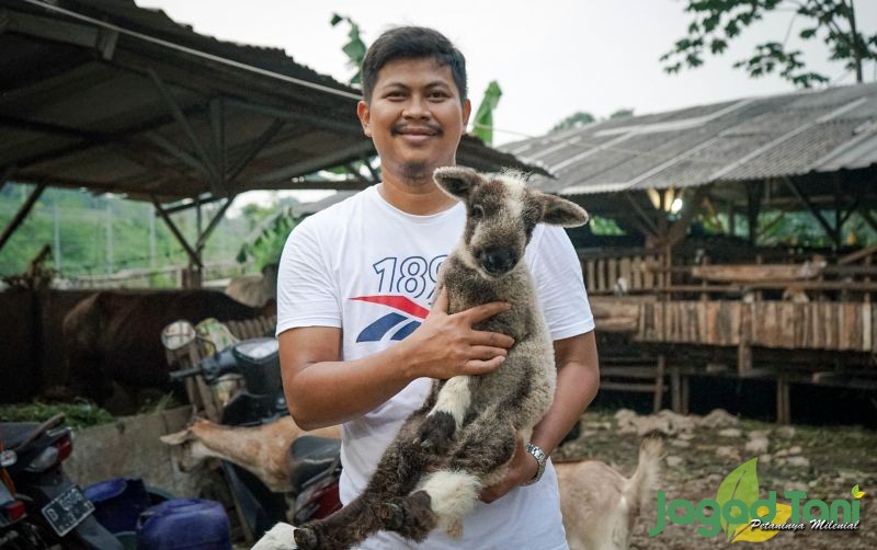 uploads/news/2021/05/merino-domba-boneka-dari-49832e4c2ab217b.jpg