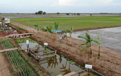 uploads/news/2021/05/perkembangan-food-estate-kalteng-843961ed517b0bf_400.jpg