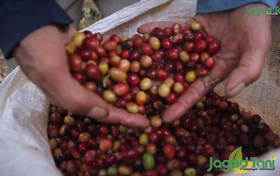 uploads/news/2021/05/semangat-petani-kopi-cianjur-3080328c6aab434_400.jpg