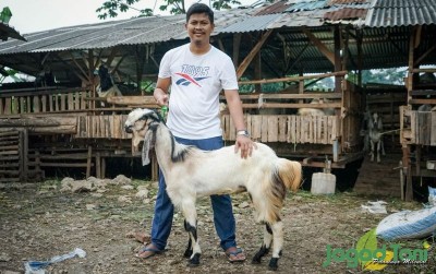 uploads/news/2021/05/tingkatkan-stamina-dengan-kambing-1175292f493a3fc_400.jpg
