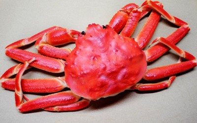 uploads/news/2021/05/tips-membersihkan-kepiting-dengan-250149fc8af7fc6_400.jpg