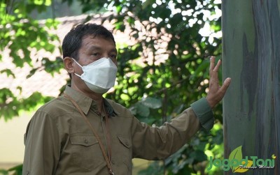 uploads/news/2021/06/-mengintip-koleksi-pohon-langka-309038b49281b86_400.JPG