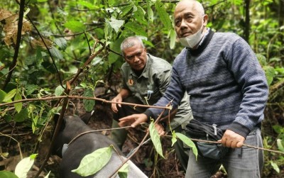 uploads/news/2021/06/aksi-klhk-lepasliarkan-satwa-4831639a28da140_400.jpg