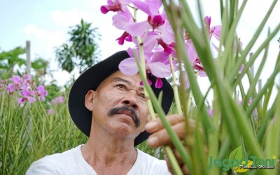 uploads/news/2021/06/asal-usul-anggrek-di-89977d5f29a0f93_400.jpg