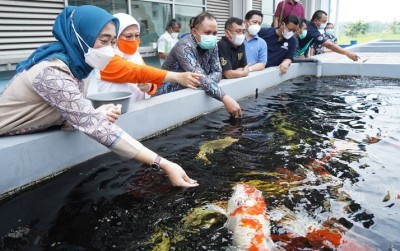 uploads/news/2021/06/cibinong-majukan-ikan-hias-9447199995d7377_400.jpg