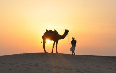 uploads/news/2021/06/hewan-hewan-yang-disebutkan-dalam-202213ef219ea99_400.jpg