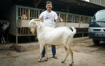 uploads/news/2021/06/ini-hewan-hewan-sah-untuk-34416fd7fc1e0e9_400.jpg
