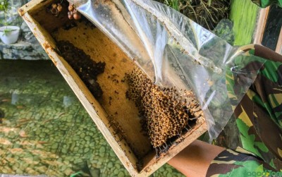 uploads/news/2021/06/ini-khasiat-super-madu-7765313d0471147_400.jpg