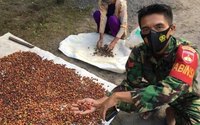 uploads/news/2021/06/melambung-tinggi-potensi-kopi-613085027cf3a9d_400.jpeg