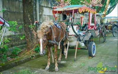 uploads/news/2021/06/memantau-kuda-pekerja-di-80468ab69a6e7ed_400.jpg