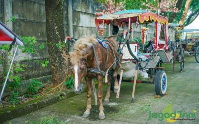 uploads/news/2021/06/perhatikan-ini-5-kebebasan-16310ab69a6e7ed_400.jpg