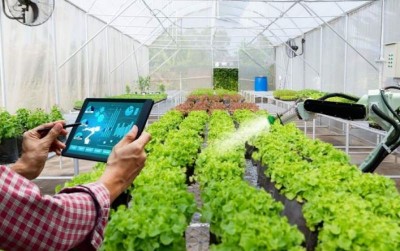 uploads/news/2021/06/petani-millenial-itu-keren-22104188136fb70_400.jpg