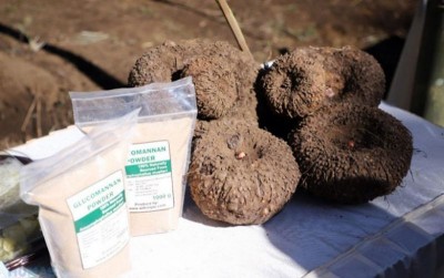 uploads/news/2021/06/porang-komoditas-andalan-petani-522202f91275475_400.jpeg