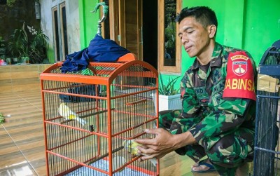 uploads/news/2021/06/raup-untung-dari-ternak-643231954a8824c_400.jpg