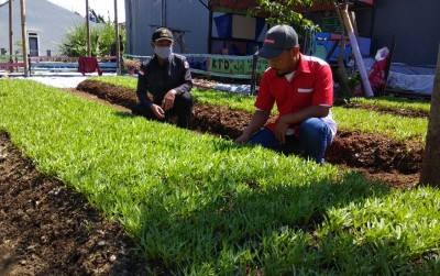 uploads/news/2021/06/sulap-lahan-tidur-jadi-6646798d25f810f_400.jpeg