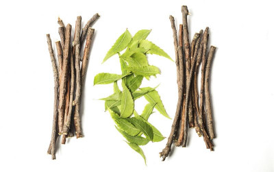 uploads/news/2021/07/8-tanaman-herbal-cegah-260443df752b1ad_400.jpg