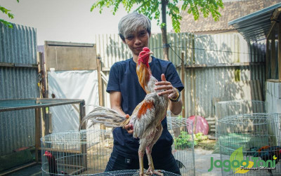 uploads/news/2021/07/cara-ampuh-menghilangkan-kutu-54403013d9e1d1c_400.jpg