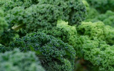 uploads/news/2021/07/kale-ratu-sayur-kaya-23528ca5deb19c0_400.jpg