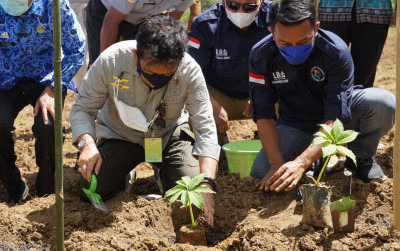 uploads/news/2021/07/kementan-garap-1-000-hektare-297647dece615df_400.jpg