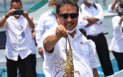uploads/news/2021/07/kkp-jamin-kemudahan-budidaya-837446a59a07d74_400.jpeg
