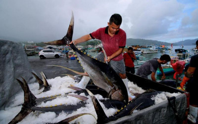 uploads/news/2021/07/penangkapan-ikan-terukur-indonesia-47603cd1325b8ad_400.jpeg