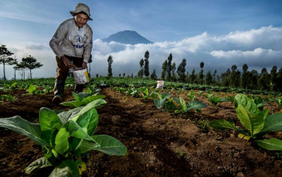 uploads/news/2021/07/perhatikan-protokol-kesehatan-untuk-308697163b51c7f_400.jpeg