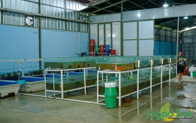 uploads/news/2021/07/petani-ikan-pinjamkan-tabung-478835533d07ea9_400.jpg