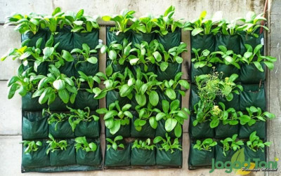 uploads/news/2021/07/ppkm-darurat-berkebun-jadi-68191735b73de61_400.jpg