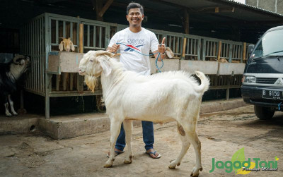 uploads/news/2021/07/ppkm-menjelang-penjualan-hewan-23894fd7fc1e0e9_400.jpg