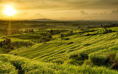 uploads/news/2021/07/terasering-paling-indah-di-461932ad06b6f01_400.jpg