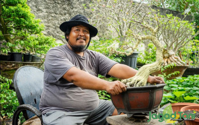 uploads/news/2021/08/cara-mudah-membuat-bonsai-33423e4f04675cc_400.jpg