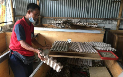 uploads/news/2021/08/cara-mudah-membuat-kandang-6783299dfdc17a5_400.jpg
