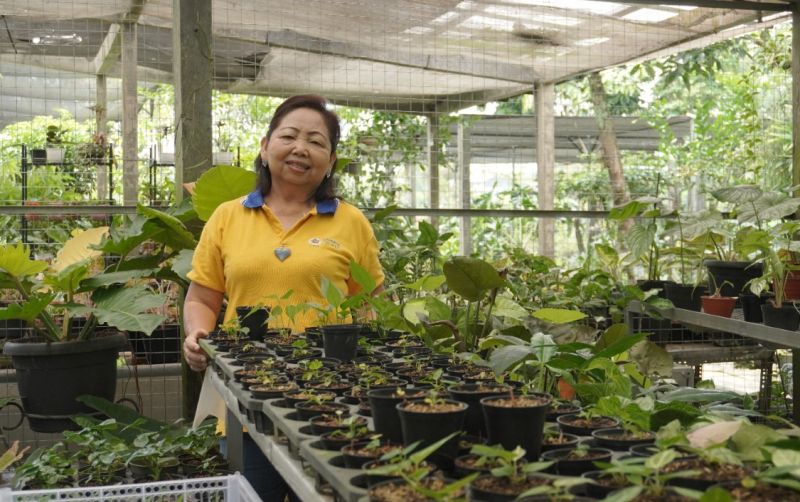 uploads/news/2021/08/cerita-herlina-alasan-mengkultur-6844108b8c790e6.jpeg