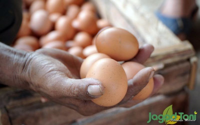 uploads/news/2021/08/ini-alasan-harga-telur-680498bb8794866_400.jpg