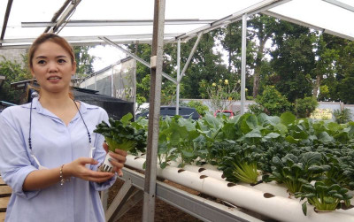 uploads/news/2021/08/intip-hidroponik-petani-wanita-972610bd7f8392f_400.jpeg