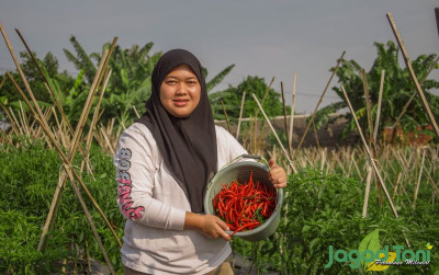uploads/news/2021/08/petani-milenial-panen-raya-481837eb045ec90_400.jpg