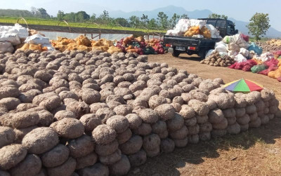 uploads/news/2021/08/porang-ubah-nasib-para-2330766f2d43219_400.jpeg