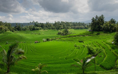 uploads/news/2021/08/sawah-sawah-paling-hits-di-415895f703a663b_400.jpg
