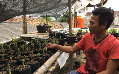uploads/news/2021/08/untung-rugi-bisnis-tanaman-68350ae07820e7c_400.jpeg