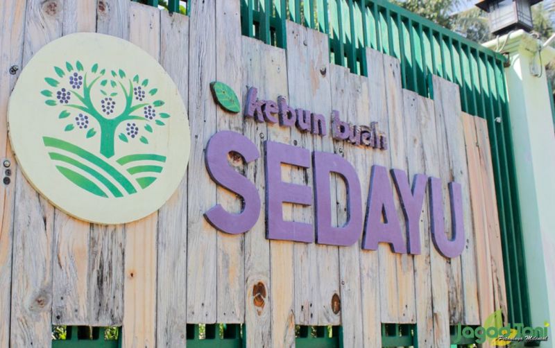 uploads/news/2021/09/5-tempat-agrowisata-wajib-4087397aeeba04b.jpg