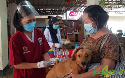 uploads/news/2021/09/cegah-penularan-rabies-dengan-38751519fa044cc_400.jpg
