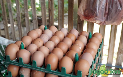 uploads/news/2021/09/harga-telur-jabodetabek-masih-1225033bb4a4d17_400.jpg