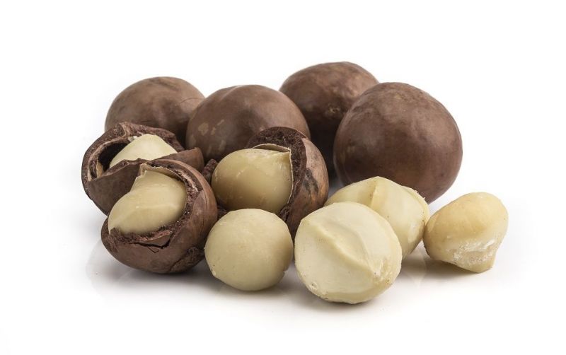 uploads/news/2021/09/ini-kacang-termahal-di-400425d96c1cb6f.jpg