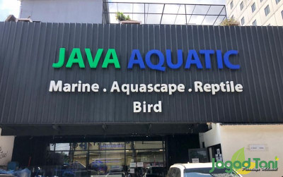 uploads/news/2021/09/java-aquatic-pusat-aquarium-804283e1b4450d6_400.jpeg