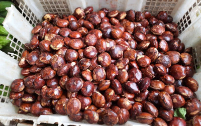 uploads/news/2021/09/jengkol-laris-manis-di-17742d90b006529_400.jpg