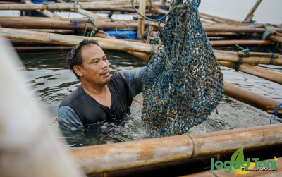 uploads/news/2021/09/melejit-kerang-hijau-ke-32974ade81180d8_400.jpeg