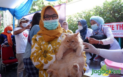uploads/news/2021/09/mendukung-hewan-bebas-rabies-61714fcd455d92c_400.jpg