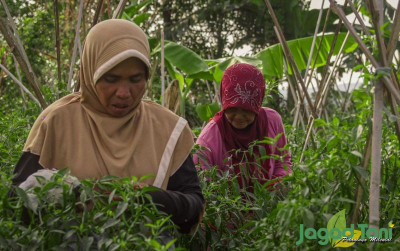 uploads/news/2021/09/pertanian-bukan-lagi-mata-231551bb7fa8dd1_400.jpg