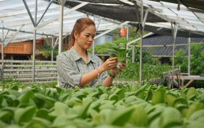 uploads/news/2021/09/seni-merawat-tanaman-hidroponik-7126262ca4f0e19_400.jpeg
