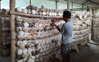 uploads/news/2021/09/tips-membuat-baglog-jamur-3684473d855a2f8_400.jpeg